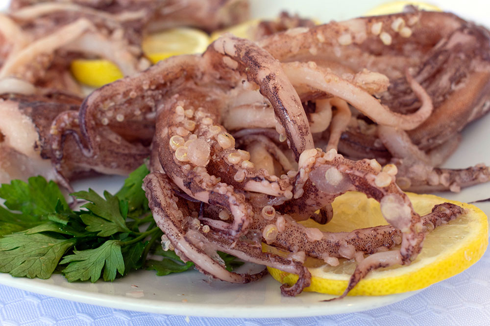 Tent&iacuteculos de calamar